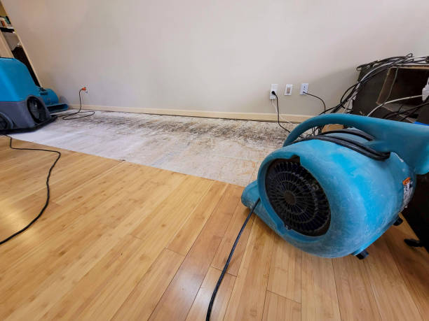 Professional Structural Drying technician working in Algonquin, MD